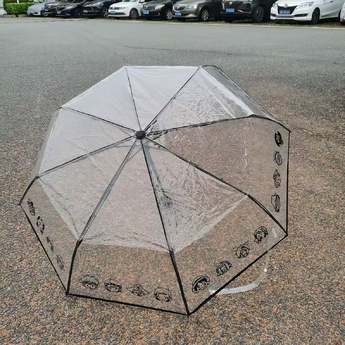 Luffy & Zoro Transparent Umbrella – Carry Your Pirate Dream with Straw Hat Crew